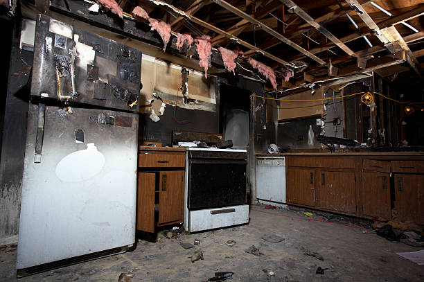 Affordable Fire Damage Removal solutions in Hydes, MD